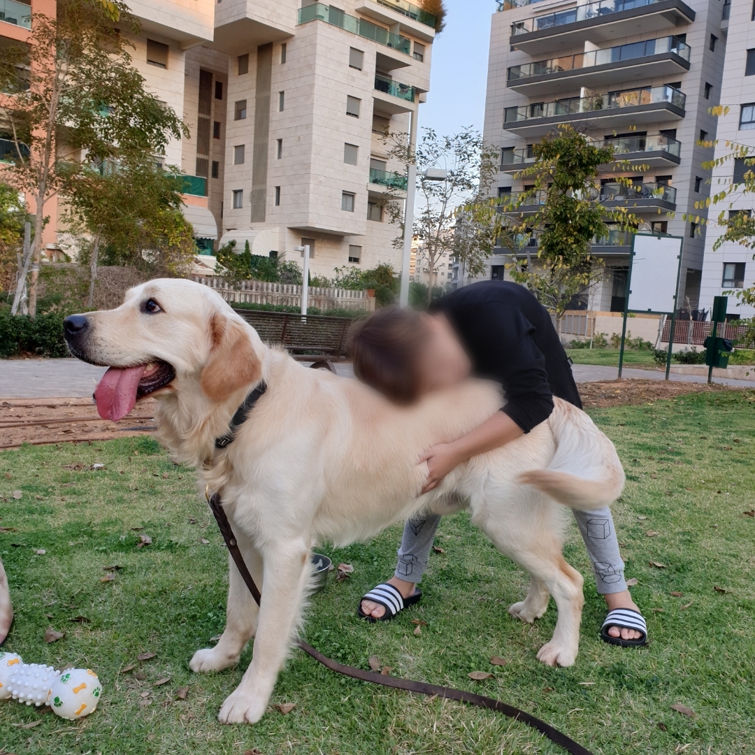 ילד מחבק את מרטין ומניח עליו את הראש